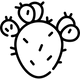 Prickly Pear Extract